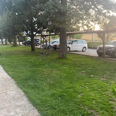 Cigueenas
