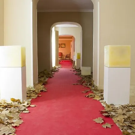 Hotel Cigueenas 3*